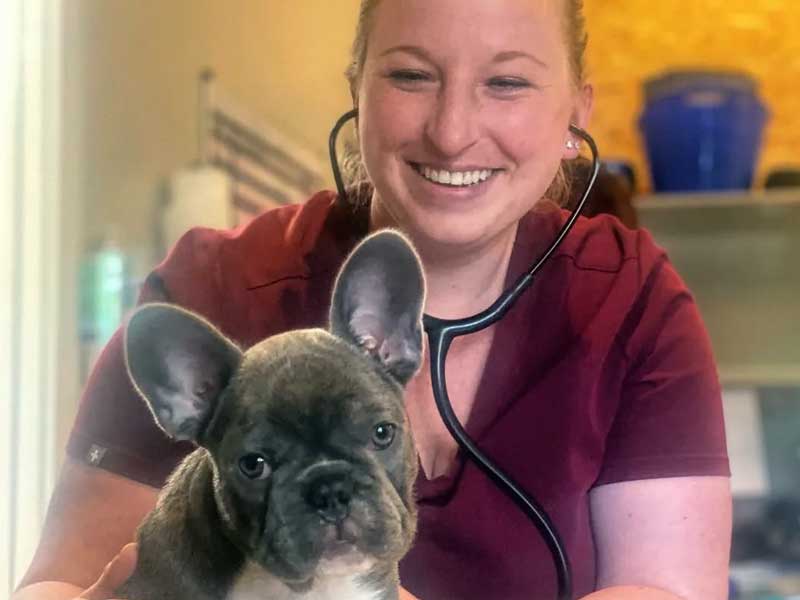 Veterinary Jobs in Spicewood