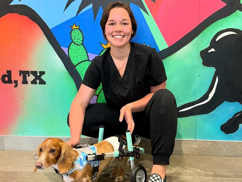 Spicewood Veterinary Clinic Policies