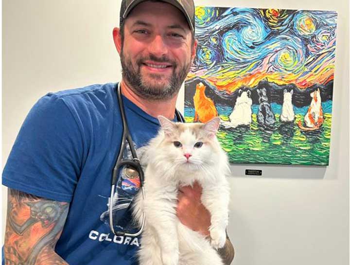 Cat Veterinarian