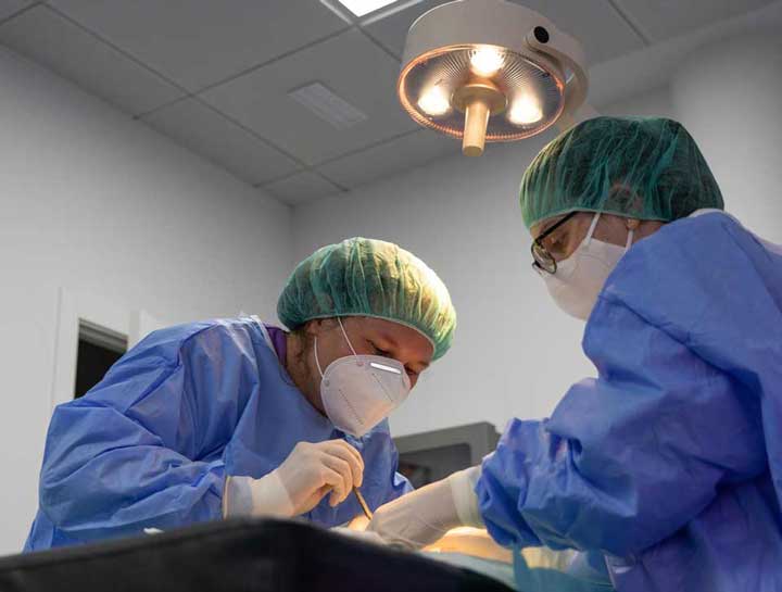 Surgical Info